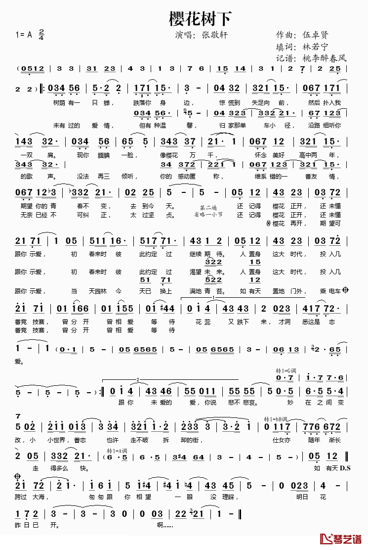 樱花树下简谱(歌词)-张敬轩演唱-桃李醉春风记谱上传1