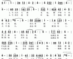 胡杨赞歌简谱(歌词)-乔军演唱-秋叶起舞记谱