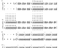 蜂鸟（Kolibre）钢琴简谱-数字双手-马克西姆 Maksim