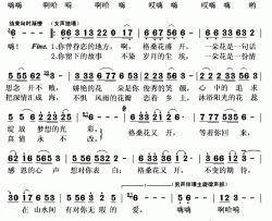 格桑花又开简谱(歌词)-扎西措演唱-秋叶起舞记谱上传