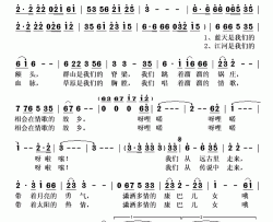 情定康定简谱(歌词)-泽旺多吉演唱-秋叶起舞记谱上传