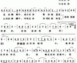 祖国祖国我爱你简谱-胡传经词 龚太华曲