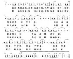 我们期待你简谱-罗琳演唱