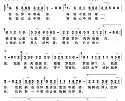 梦中等着你简谱(歌词)-天爱演唱-歌之畅记谱