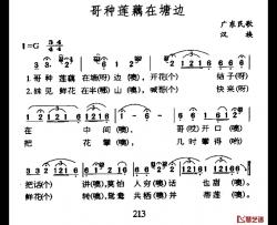 哥种莲藕在塘边简谱-广东民歌