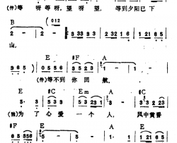 等你回航简谱-阿当词 李玲玉演唱李玲玉-