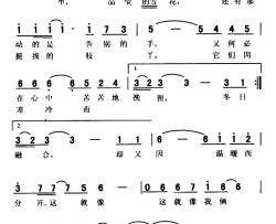 雪树　简谱-王敬婷词/王敬婷曲