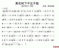 黄花树下不见不散简谱-《圆月弯刀》配乐