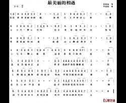 最美丽的相遇简谱-向俊丽词/邓成林曲