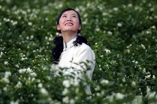 茉莉花钢琴谱 送来春日茉莉香，唤醒清晨2