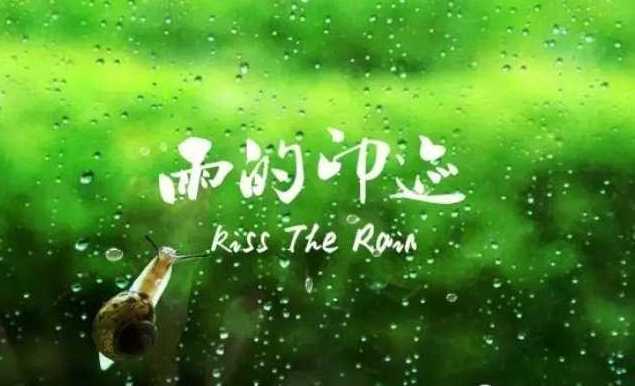 kiss the rain简谱    이루마    走心的音乐不过如此~6