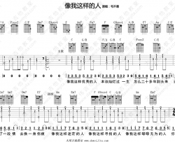 像我这样的人吉他谱-毛不易-吉他弹唱教学演示